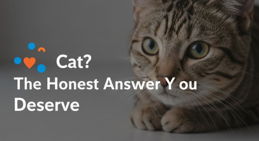 AI Generated Illustration for What Is a Cat? The Honest Answer You Deserve